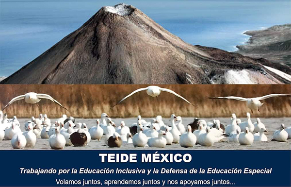 Logo TEIDE México